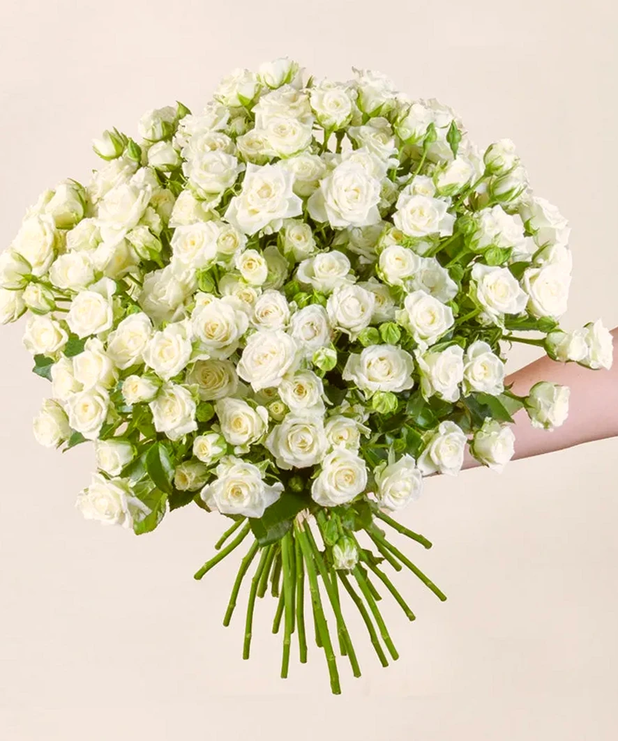 Pureza Absoluta com 100 Mini Rosas