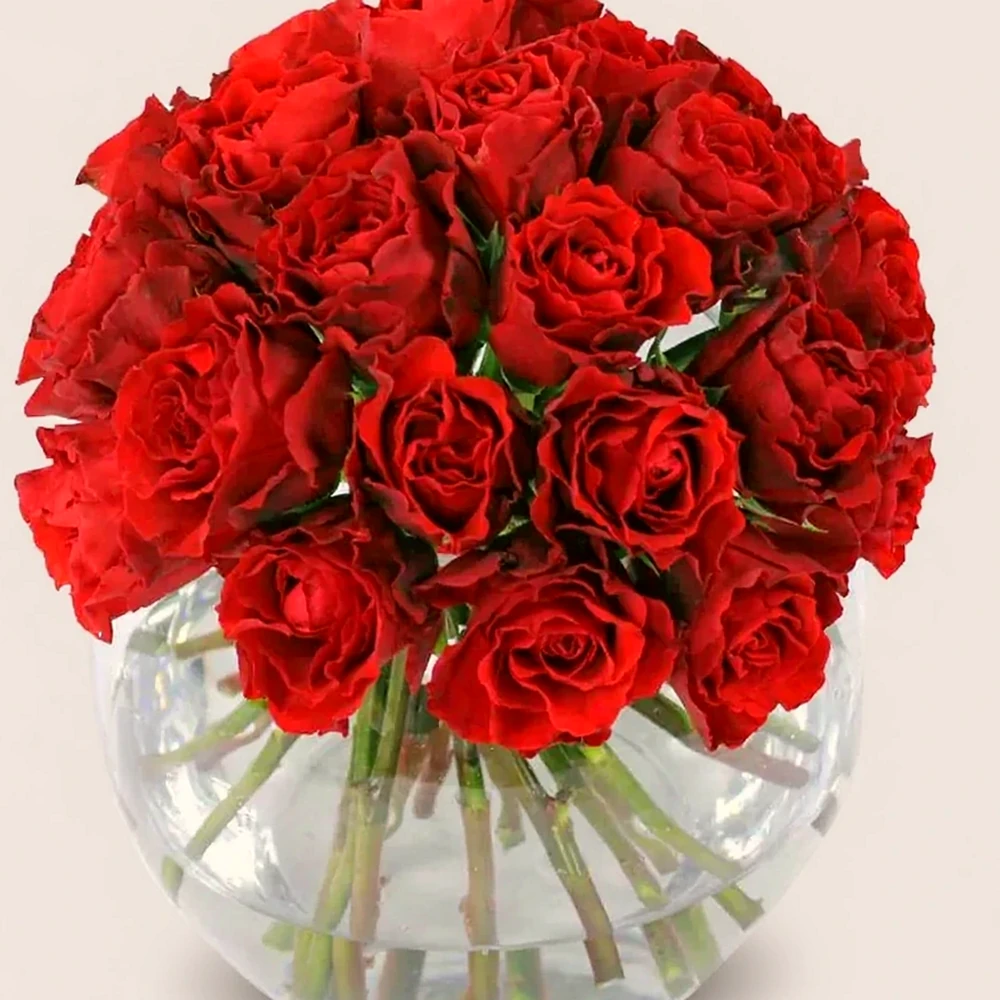 Arranjo Elegante: 20 Rosas Colombianas em Vaso de Vidro