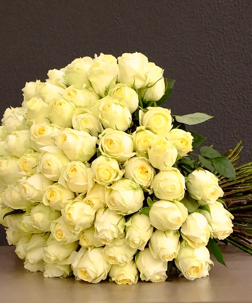 Buquê de 75 Rosas colombianas Brancas